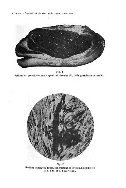 La clinica veterinaria rivista di medicina e chirurgia pratica degli animali domestici