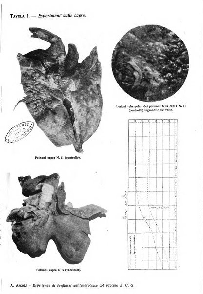 La clinica veterinaria rivista di medicina e chirurgia pratica degli animali domestici