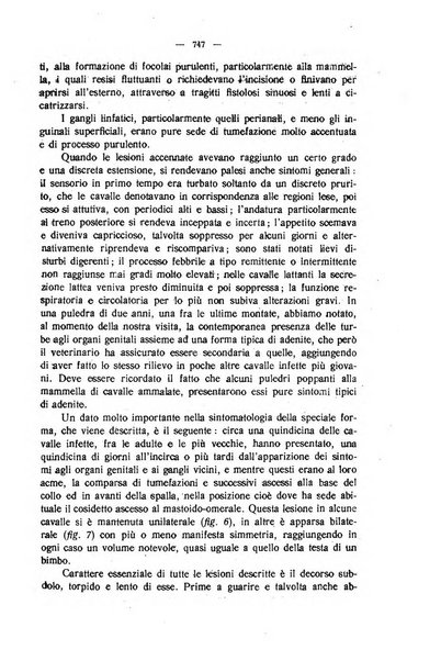 La clinica veterinaria rivista di medicina e chirurgia pratica degli animali domestici