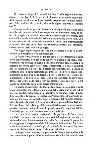 La clinica veterinaria rivista di medicina e chirurgia pratica degli animali domestici