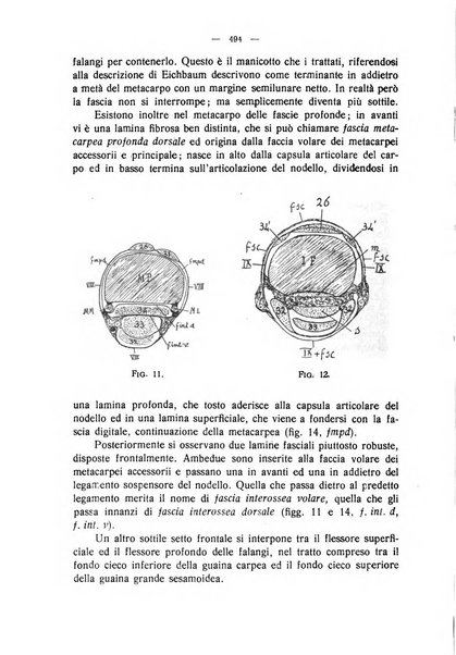 La clinica veterinaria rivista di medicina e chirurgia pratica degli animali domestici