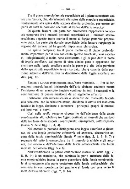 La clinica veterinaria rivista di medicina e chirurgia pratica degli animali domestici