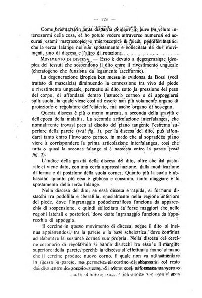 La clinica veterinaria rivista di medicina e chirurgia pratica degli animali domestici