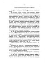 giornale/MIL0124118/1929/unico/00000114