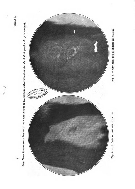 La clinica veterinaria rivista di medicina e chirurgia pratica degli animali domestici