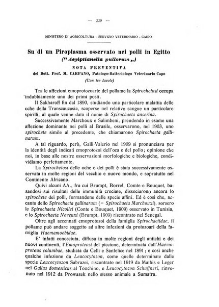 La clinica veterinaria rivista di medicina e chirurgia pratica degli animali domestici