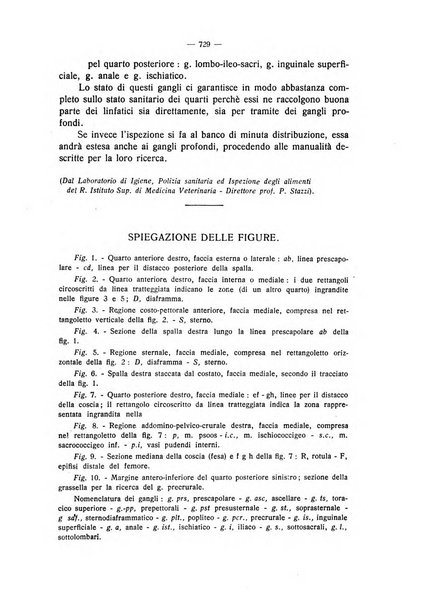 La clinica veterinaria rivista di medicina e chirurgia pratica degli animali domestici