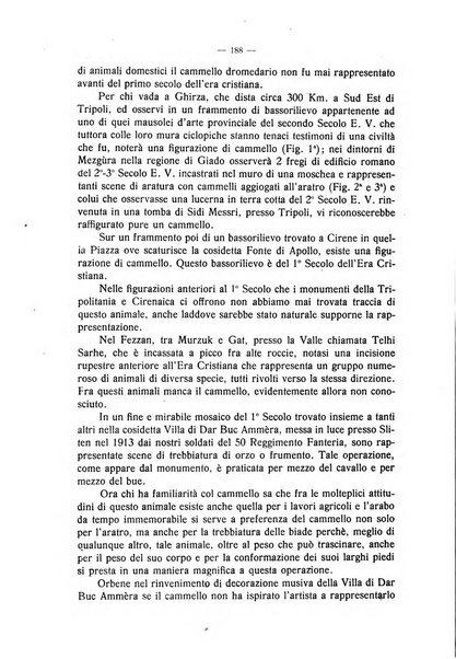 La clinica veterinaria rivista di medicina e chirurgia pratica degli animali domestici