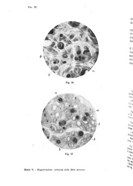 La clinica veterinaria rivista di medicina e chirurgia pratica degli animali domestici