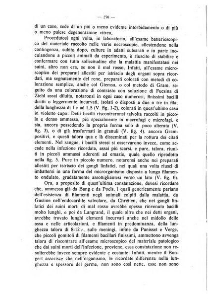 La clinica veterinaria rivista di medicina e chirurgia pratica degli animali domestici