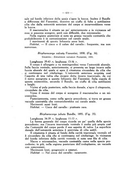 La clinica veterinaria rivista di medicina e chirurgia pratica degli animali domestici