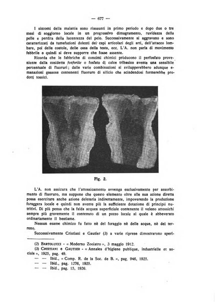 La clinica veterinaria rivista di medicina e chirurgia pratica degli animali domestici