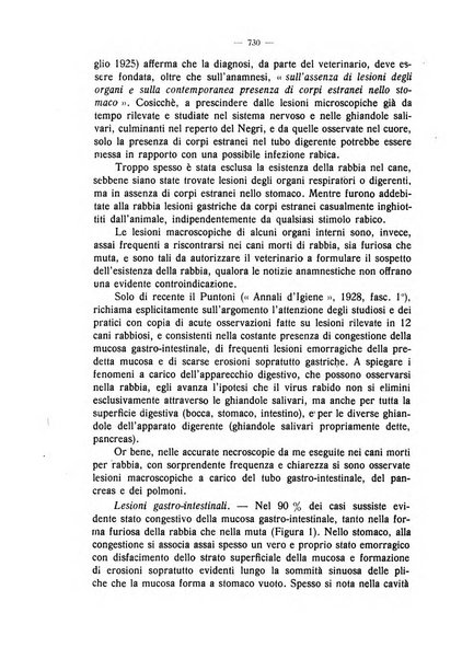 La clinica veterinaria rivista di medicina e chirurgia pratica degli animali domestici