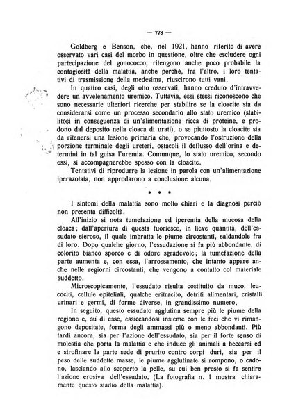 La clinica veterinaria rivista di medicina e chirurgia pratica degli animali domestici