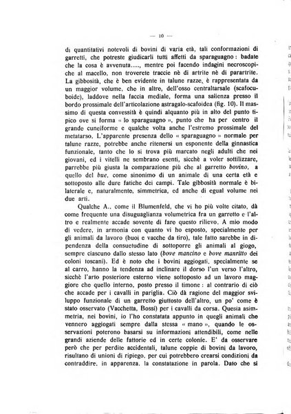 La clinica veterinaria rivista di medicina e chirurgia pratica degli animali domestici