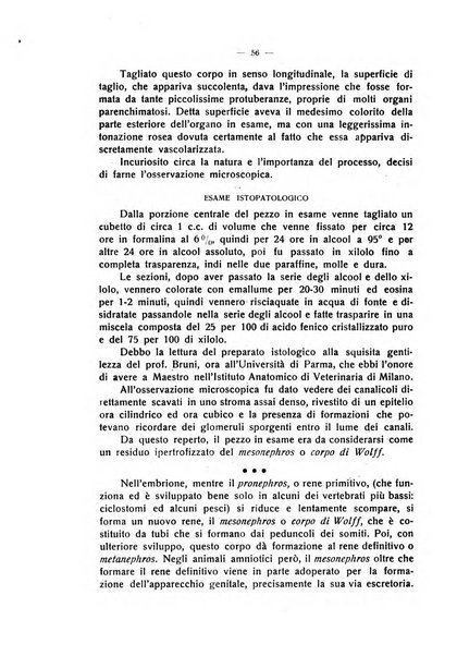 La clinica veterinaria rivista di medicina e chirurgia pratica degli animali domestici