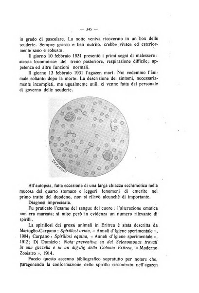 La clinica veterinaria rivista di medicina e chirurgia pratica degli animali domestici