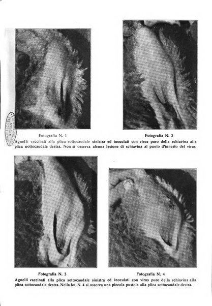 La clinica veterinaria rivista di medicina e chirurgia pratica degli animali domestici