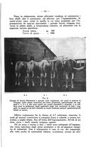 giornale/MIL0124118/1933/unico/00001009