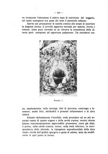 La clinica veterinaria rivista di medicina e chirurgia pratica degli animali domestici