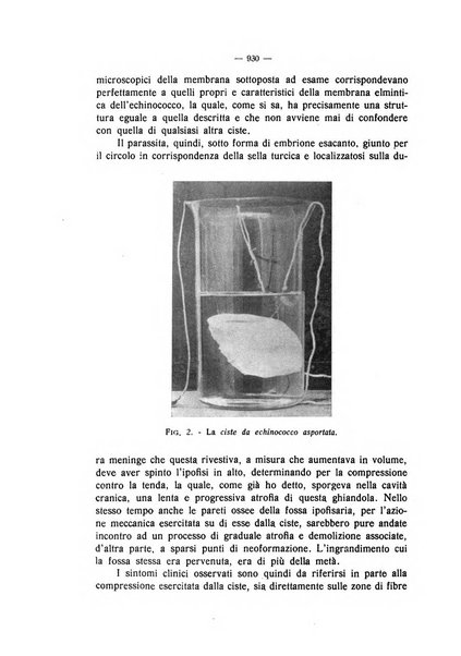 La clinica veterinaria rivista di medicina e chirurgia pratica degli animali domestici