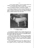 giornale/MIL0124118/1934/unico/00000186