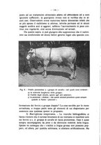 giornale/MIL0124118/1934/unico/00000190