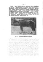 giornale/MIL0124118/1934/unico/00000284