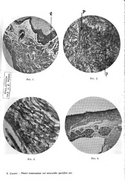 La clinica veterinaria rivista di medicina e chirurgia pratica degli animali domestici