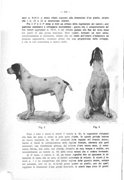 La clinica veterinaria rivista di medicina e chirurgia pratica degli animali domestici