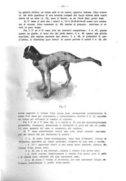 La clinica veterinaria rivista di medicina e chirurgia pratica degli animali domestici