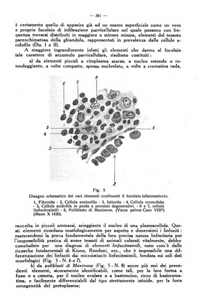 La clinica veterinaria rivista di medicina e chirurgia pratica degli animali domestici