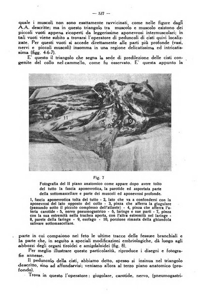 La clinica veterinaria rivista di medicina e chirurgia pratica degli animali domestici