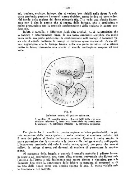 La clinica veterinaria rivista di medicina e chirurgia pratica degli animali domestici