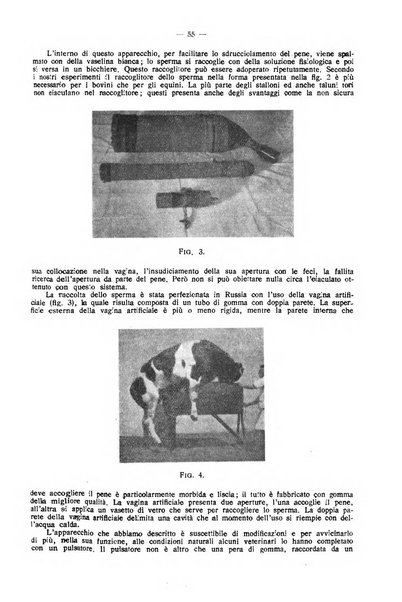 La clinica veterinaria rivista di medicina e chirurgia pratica degli animali domestici