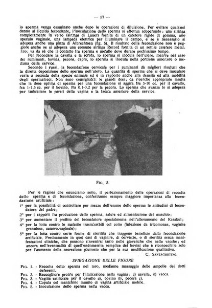 La clinica veterinaria rivista di medicina e chirurgia pratica degli animali domestici