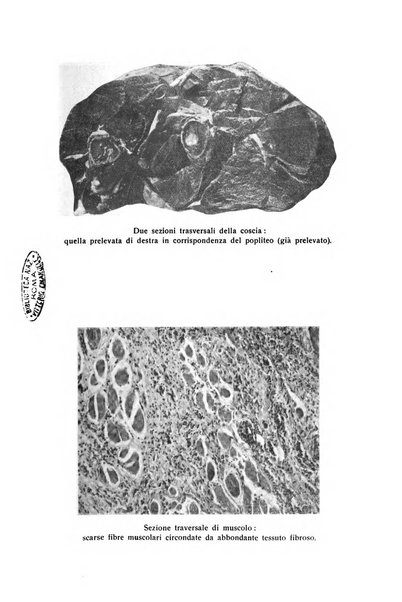 La clinica veterinaria rivista di medicina e chirurgia pratica degli animali domestici