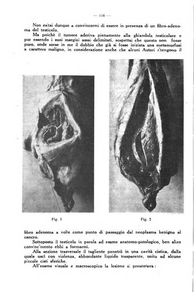 La clinica veterinaria rivista di medicina e chirurgia pratica degli animali domestici