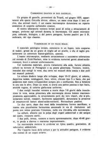 La clinica veterinaria rivista di medicina e chirurgia pratica degli animali domestici