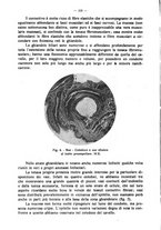 giornale/MIL0124118/1937/unico/00000424