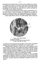 giornale/MIL0124118/1937/unico/00000435