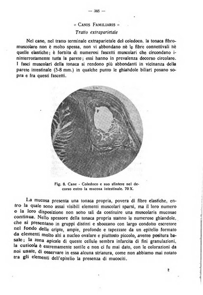 La clinica veterinaria rivista di medicina e chirurgia pratica degli animali domestici