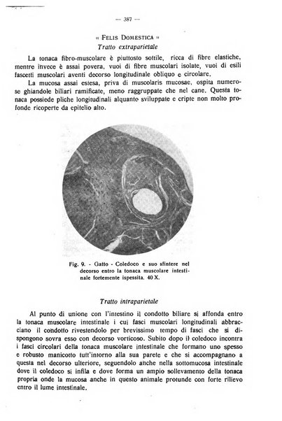 La clinica veterinaria rivista di medicina e chirurgia pratica degli animali domestici