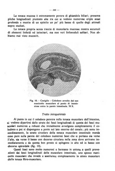 La clinica veterinaria rivista di medicina e chirurgia pratica degli animali domestici