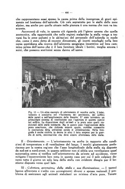 La clinica veterinaria rivista di medicina e chirurgia pratica degli animali domestici