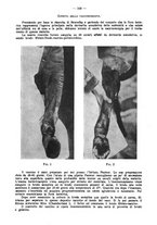 giornale/MIL0124118/1937/unico/00000641