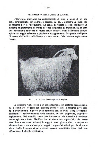 La clinica veterinaria rivista di medicina e chirurgia pratica degli animali domestici