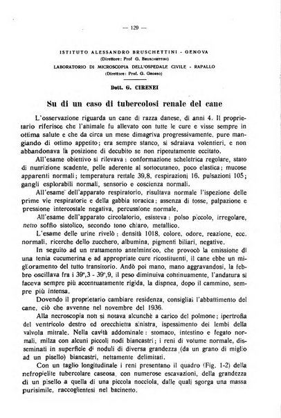 La clinica veterinaria rivista di medicina e chirurgia pratica degli animali domestici