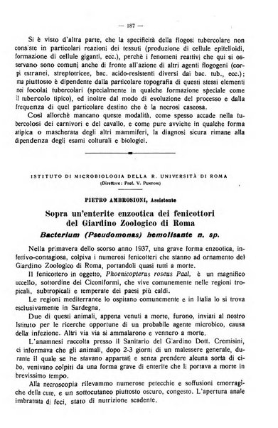 La clinica veterinaria rivista di medicina e chirurgia pratica degli animali domestici