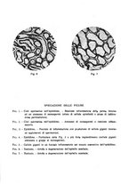 giornale/MIL0124118/1938/unico/00000338